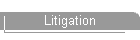 Litigation